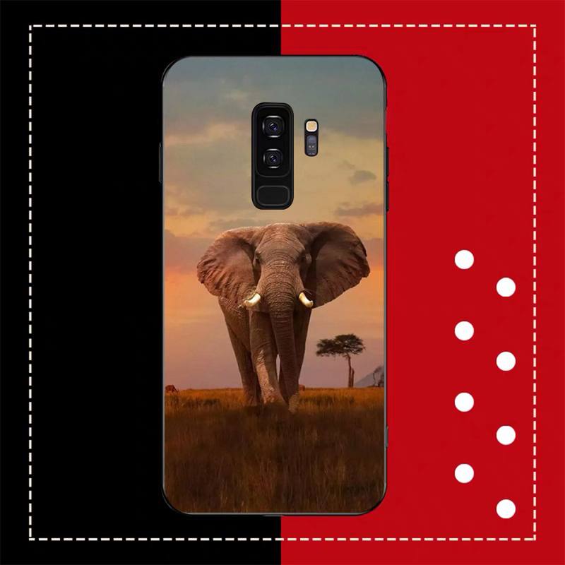 Animal Elephant  Phone Case for Samsung A51 A30s A52 A71 A12 for Huawei Honor 10i for OPPO vivo Y11 cover
