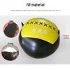 Nize Fitness Medicine Balls