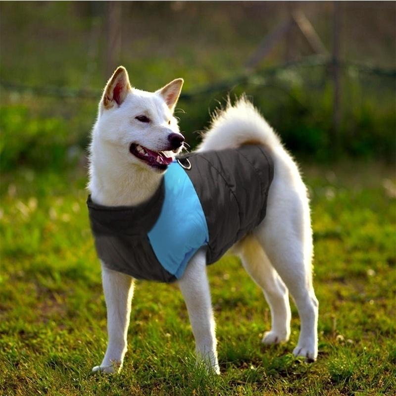 Новая непромокаемая теплая куртка для собак от маленьких до очень больших, одежда для домашних животных