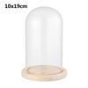 Plants Transparent Bottle Jar Glass Vase Wooden Base Flower Storage Box Glass Cloche Dust Cover
