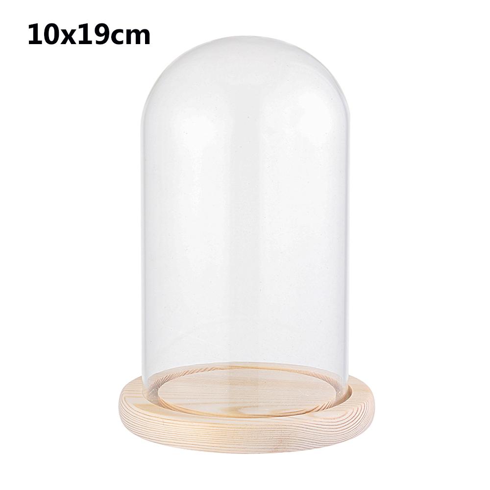 Plants Transparent Bottle Jar Glass Vase Wooden Base Flower Storage Box Glass Cloche Dust Cover