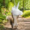 Unicorn Squirrel Feeder Head Feeder, Funny Animal Face Hanging Garden Picnic Table Big Mask Style Wildlife for Backyard Patio Decor Interactive