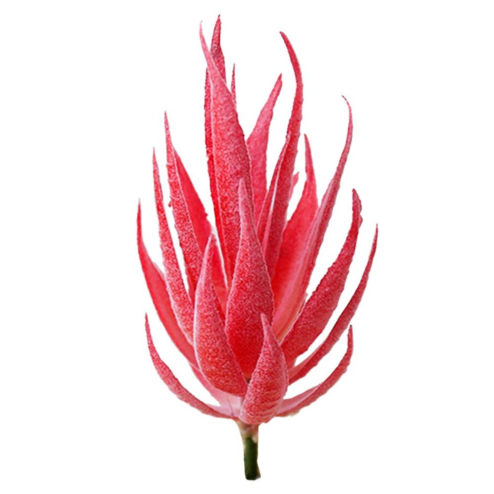 Fake Succulent Plant Simulation Flower Artificial Aloe Plant Easy Maintenance