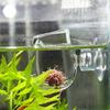 Aquariums Glass Feeding Food Cup with Seam Plant Cup Brine Shrimp Live Red Worm Fish Clear Dish