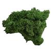 L&B Artificial Plant Preserved Flower Reindeer Moss DIY Craft Garden Home Decor