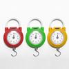 Portable Metal Hanging Scale Plastic High Precision Spring Scale with Hook Weight Scale