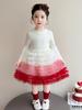 Spring Girls' Cat Denim Princess Dress Set - Baby Puffy Skirt Two-Piece