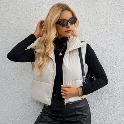 Женский утепленный жилет, легкий, с воротником-стойкой, без рукавов, короткий, теплый, с завязками на шнурке, подол, застежка-молния, повседневный жилет