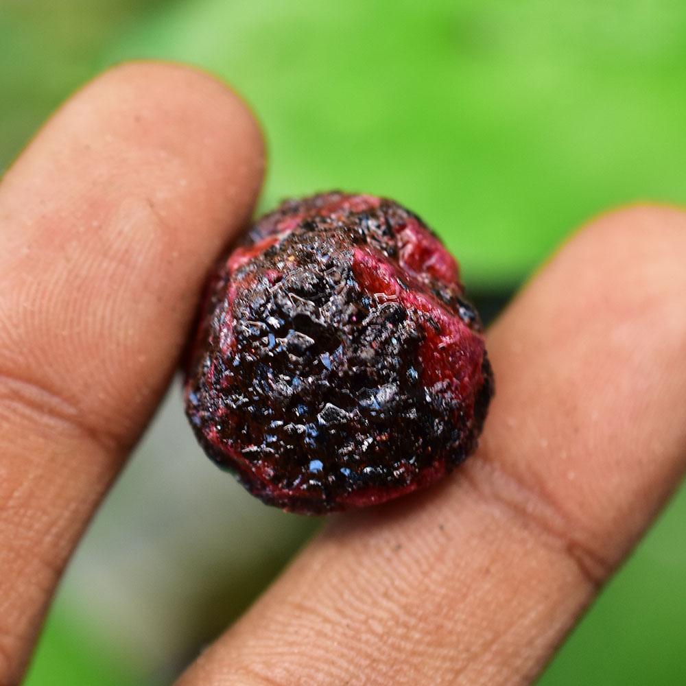Natural Red Ruby Loose Gemstone Exclusive 67.10 ct Uncut Rough for Lapidary and Gem Collections