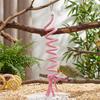 Parrot Cotton Rope Climbing Toy Swing Hoop Perch for Budgie and Cockatiel