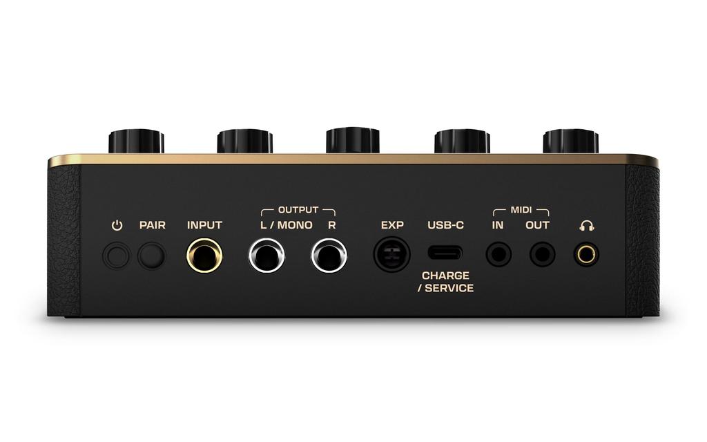 Positive Grid Spark PEDAL Гитарная педаль - Мультиэффекты