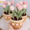 Handmade Woolen Yarn Flowers Crochet Knitting Kit No Finish Tulip Potted Flower  Desktop Ornament