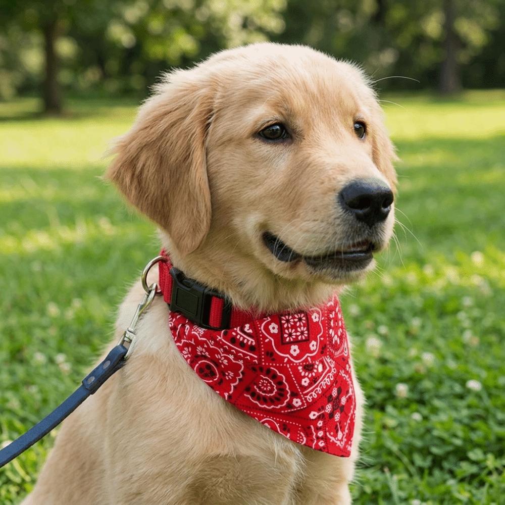 Adjustable Dog Bandana Red Dog Bib Corgi Dog Neck Scarf Pet Photo Taking