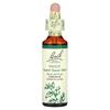 Original Flower Therapy, Holly, 20Ml(0.7Fl Oz)