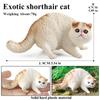 Oenux Cat Model Siamese Devon Rex Sphynx Ragdoll Persian Action Figure Cat Kitty Bobtails Figurine Cute Decoration Kids Toy Gift