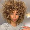 Afro Women Fashion Short Length Ombre Brown Blonde Curly Wig Synthetic Fiber Curly Wig for Women