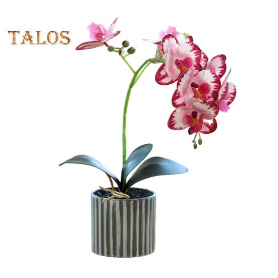 Искусственное растение в горшке, искусственная орхидея-мотылек, бонсай, настольный искусственный фаленопсис, цветы для домашнего обеденного стола, украшения офисного стола