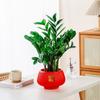 Самополивающиеся гидропонные растения горшок пластиковый офис бонсай декор