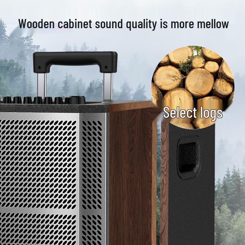 Sansui SG3-12 Outdoor Karaoke Portable Trolley Bluetooth Speaker CN plug (adapter included) (CN version)