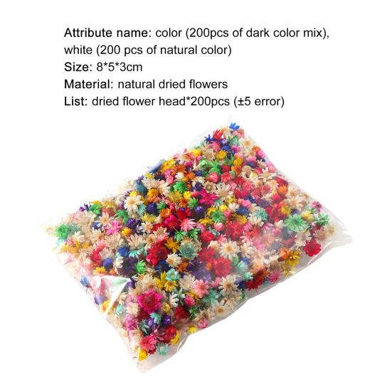 Привлекательный стабилизированный цветок, отличное качество изготовления, натуральный цветок ручной работы