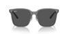 Sunglasses RB2206D Transparent Grey 57 Ray-Ban