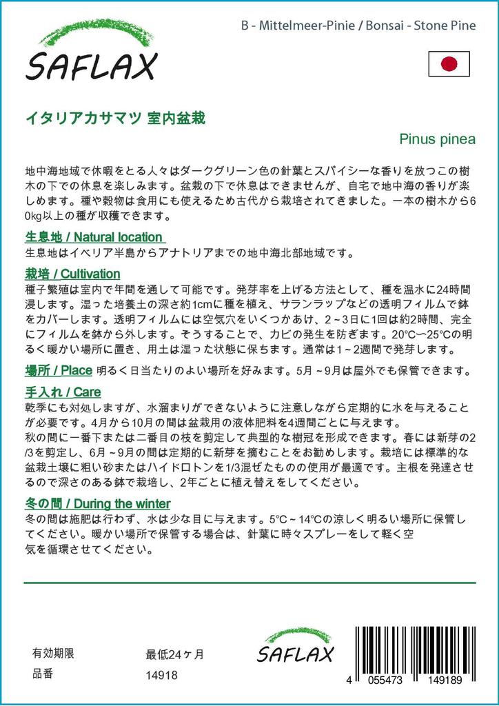 SAFLAX Garden in the Bag - Бонсай - Кедровая сосна - 6 семян - С субстратом в подходящем мешке-стойке - Pinus pinea