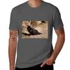Cornish Chough Tshirt Novelty Graphic Tee Shirt