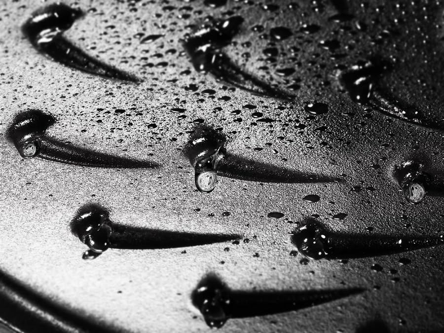 Staub Pan Gray Two Hand Cast Enamel Pot Shallow Sukiyaki Compatible with IH Japanese Braiser "Braiser Sauté 24cm" [Authorized Product] 40511-471