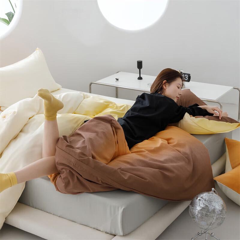 Honeyson Milk Fleece Spring 4-Piece Bedding Set