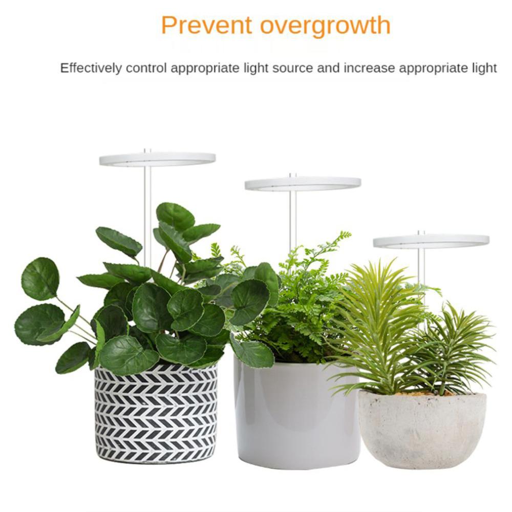 Светодиодный светильник полного спектра для выращивания комнатных растений, регулируемая по высоте лампа для выращивания ангельских колец с автоматическим таймером, идеально подходящая для освещения небольших растений