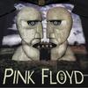 1994 Vintage PINK FLOYD  Division Bell North American Tour T-Shirt REPRINT