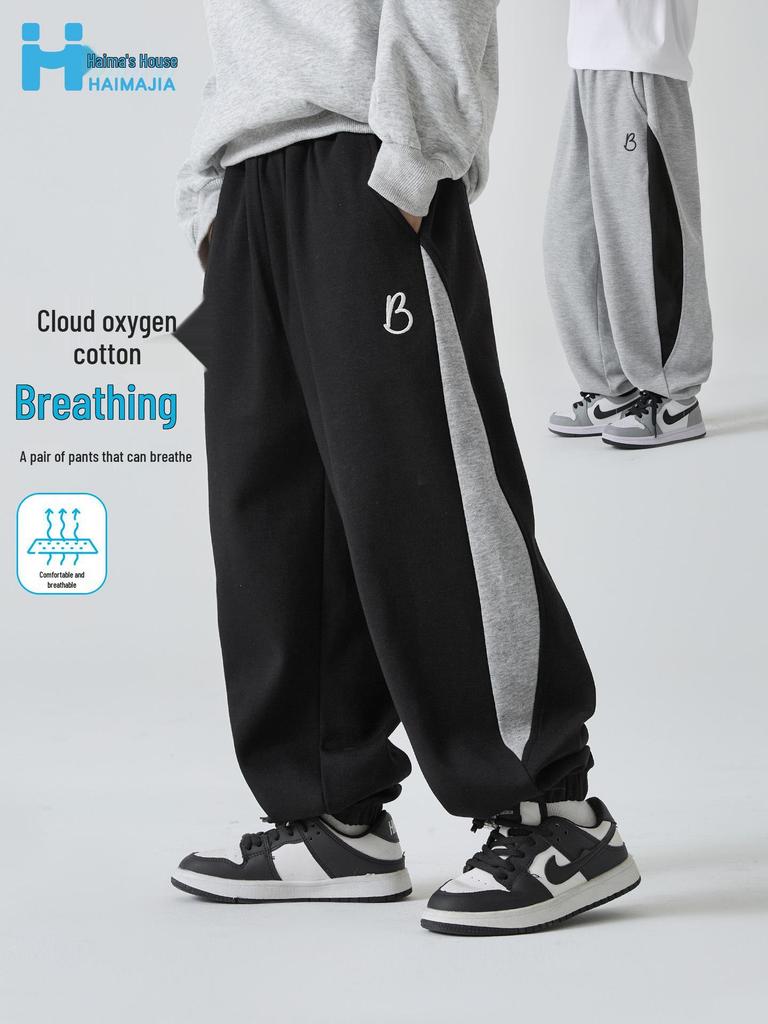 Hai Ma 2025 Осень Мальчики Махровые Спортивные Штаны - Модные Спортивные Штаны в Корейском Стиле для Детей