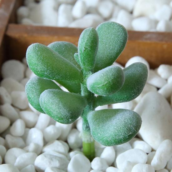 1шт пластиковые поддельные искусственные суккуленты растение бонсай сад домашний офис декор