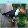 Wild Animal Big Billed Bird Ramphastos Toco Model For Childrens Learning And Play Activities