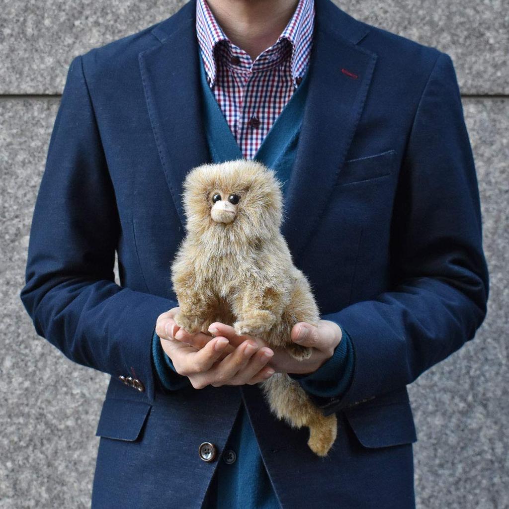 Pygmy Marmoset No.4688