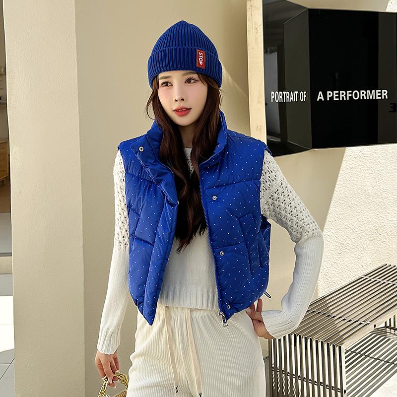 Женская осенне-зимняя однотонная утолщенная верхняя одежда с хлопковой подкладкой и воротником-стойкой, теплая куртка без рукавов, пальто, жилет