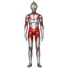MAFEX No.155 Ultraman Height approx. 160mm Painted