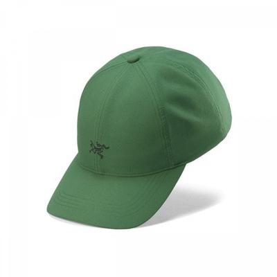 Кепка Arcteryx Small Bird Черная Aeofux7074 Eden