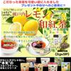 Set of 6 Fruit Tea Bags (Aomori Honey Apple, Shizuoka Benihoppe, Yamanashi White Peach, Yorii Mandarin Orange, Setouchi Lemon, Tokushima Yuzu Green