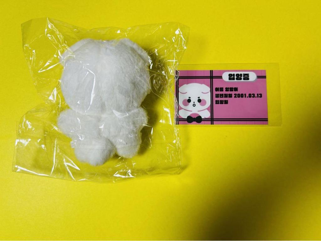 [Б/У] TXT Бомгю Мастерним Плюшевая игрушка 11см