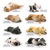 8 Simulated Sleeping Positions French Bulldog Shiba Inu Static Model Children'S Fun Pet Dog Desktop Decoration Ornament