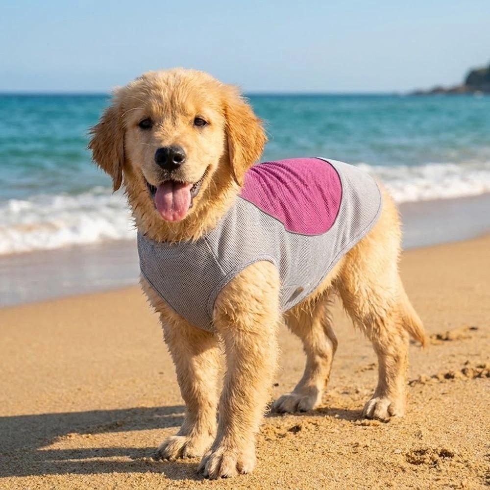 Breathable Mesh Pet Cooling Shirt Ice-Silk Pet Cool Clothes Dog Cooling Ice Vest Beach Travel