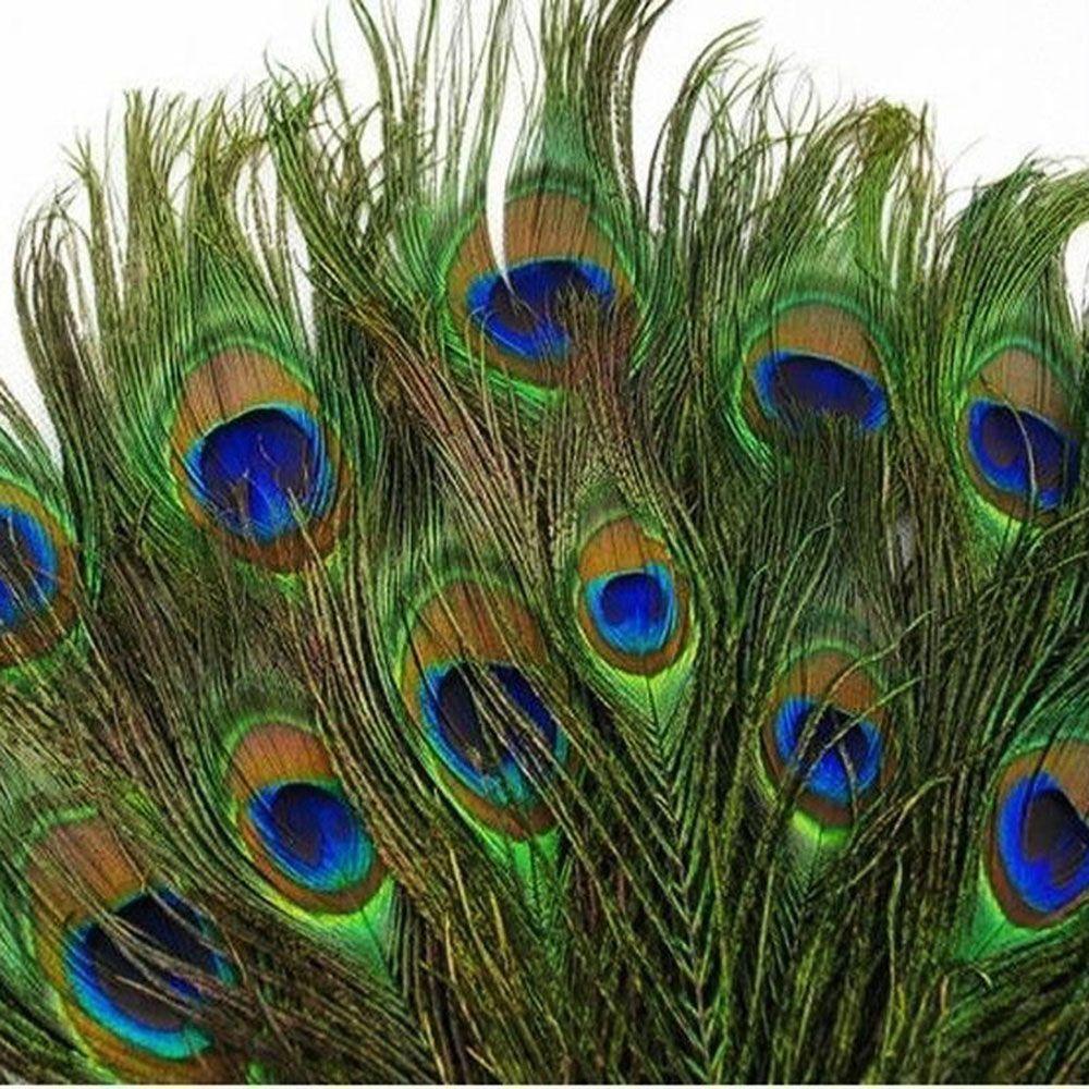 Useful Clothes Decals DIY Party Decor Natural Plume Peacock Eye Feathers Tail Artwork Ornaments