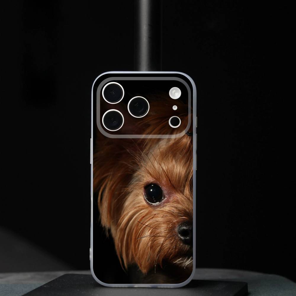 Yorkshire Terrier dogS For iPhone 11,12,13,14,15,16,17,Pro,Max,Plus,Mini,SE4,E Phone Case With Magsafe Wireless