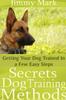Книга Secrets Dog Training Methods: Getting Your Dog Trained In a Few Easy Steps