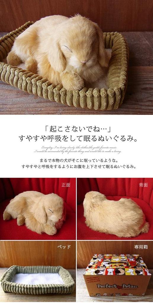 Ninian and Kino Perfect Pet Rabbit Plush Perfect Cute Bunny (Small) Lop-Eared (Beige) Toy, Realistic, Lifelike, Animal, Soothing, Moving, Gift,