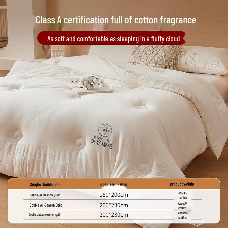 100% Xinjiang Cotton All-Season Duvet Insert