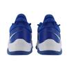 New Nike Pg 5 Tb 'Royal' DM5045-401