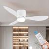 Modern LED Ceiling Fan Light, Remote Control, DC Motor with High Air Volume, Low Floor Pendant Light In Bedroom and Living Room