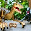 Remote Control Dinosaur - SHOP-STORY - Velociraptor - 50 Cm - Lights - Sounds